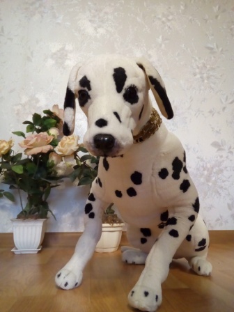 336x448  58 KB. Big one: 2448x3264  1692 KB