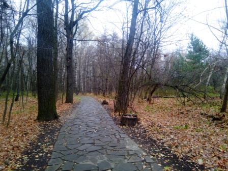 448x336  99 KB. Big one: 4608x3456  8263 KB