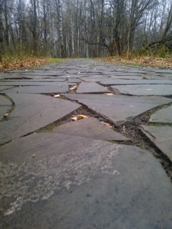 336x448  69 KB. Big one: 3456x4608  5970 KB