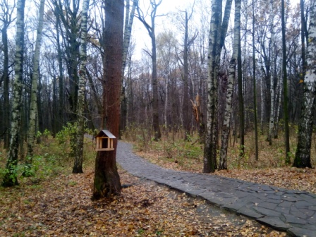 448x336  101 KB. Big one: 4608x3456  7902 KB