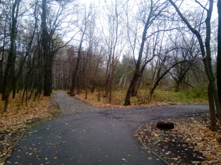 448x336  94 KB. Big one: 4608x3456  8006 KB