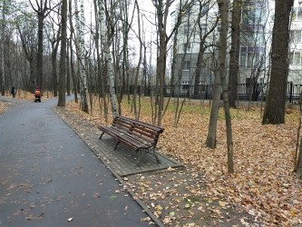 333x250  978 KB. Big one: 4032x3024  6977 KB