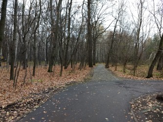 333x250  1037 KB. Big one: 4032x3024  6741 KB