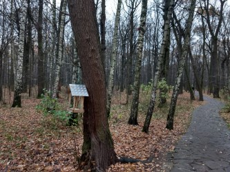 333x250  977 KB. Big one: 4032x3024  5302 KB