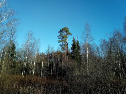 440x330  45 KB. Big one: 4160x3120  7681 KB