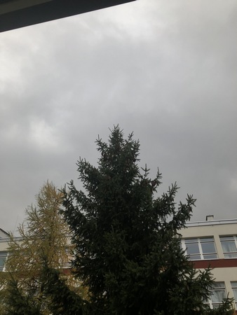 338x450  47 KB. Big one: 3024x4032  1932 KB