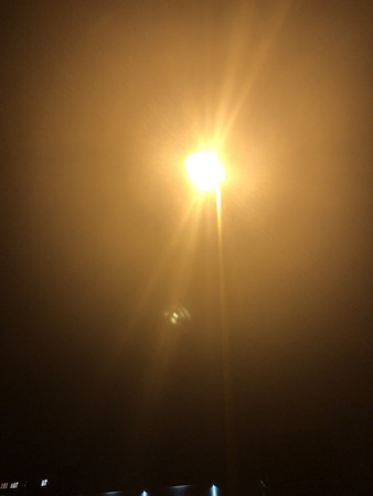 338x450  23 KB. Big one: 3024x4032  1623 KB