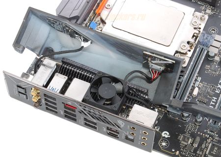 450x320  35 KB. Big one: 1500x1067  273 KB