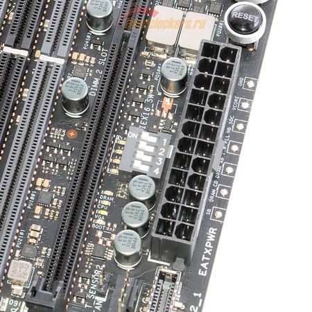 450x450  68 KB. Big one: 1500x1816  489 KB