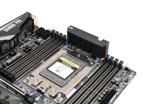 500x334  42 KB. Big one: 2500x1668  609 KB