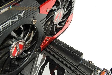 450x301  30 KB. Big one: 1500x1004  232 KB