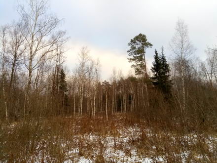 440x330  48 KB. Big one: 4224x3168  4265 KB