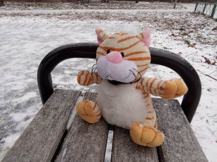 440x330  52 KB. Big one: 4224x3168  4215 KB