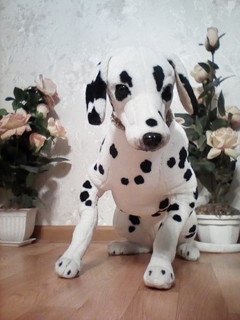 338x450  54 KB. Big one: 1920x2560  1226 KB