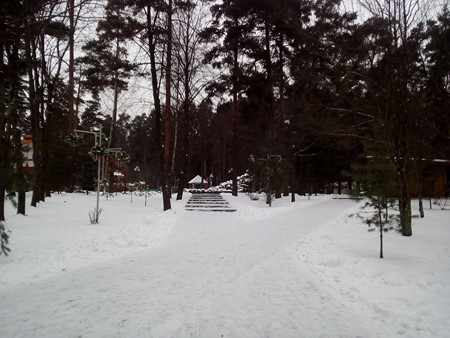 450x338  64 KB. Big one: 4160x3120  3215 KB