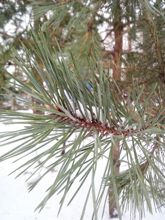 338x450  83 KB. Big one: 3120x4160  4008 KB