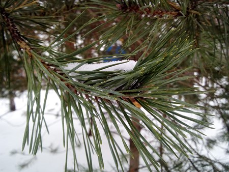 450x338  81 KB. Big one: 4160x3120  4065 KB