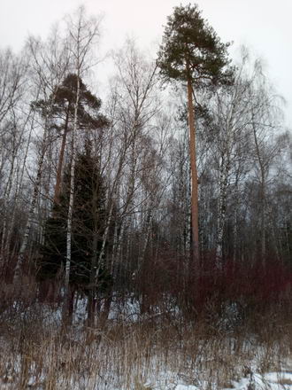 330x440  49 KB. Big one: 3120x4160  4762 KB