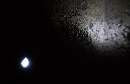 450x292  59 KB. Big one: 1500x973  734 KB