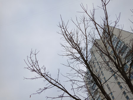 450x338  52 KB. Big one: 4608x3456  4483 KB