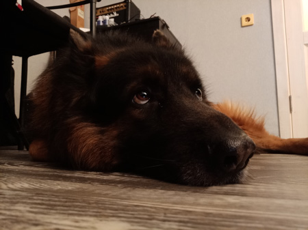 450x337  45 KB. Big one: 5184x3880  2888 KB