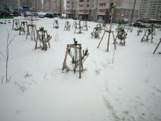 333x250  169 KB. Big one: 4608x3456  4192 KB