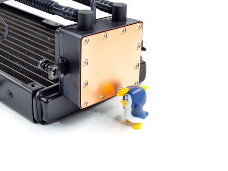 450x338  52 KB. Big one: 1500x1125  365 KB