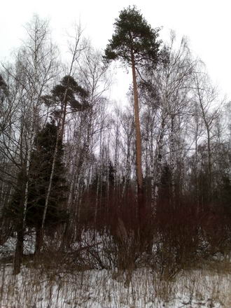 330x440  49 KB. Big one: 2448x3264  3379 KB