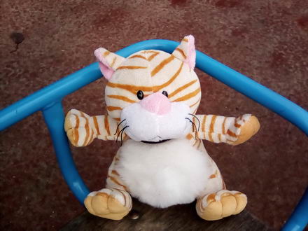 440x330  42 KB. Big one: 1600x1200  550 KB