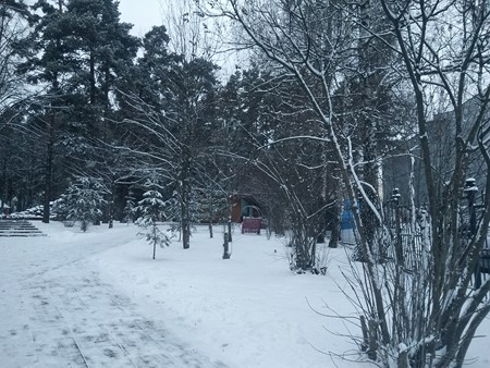 450x338  70 KB. Big one: 4608x3456  6766 KB