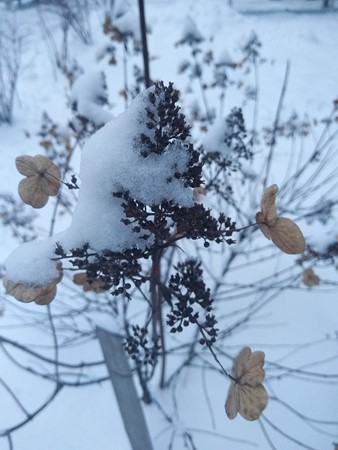 338x450  43 KB. Big one: 3456x4608  4183 KB