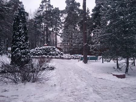 450x338  69 KB. Big one: 4608x3456  6675 KB