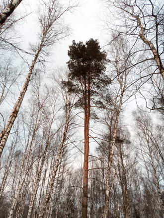 330x440  61 KB. Big one: 3984x5312  8698 KB