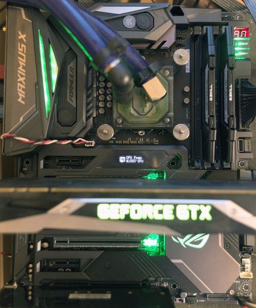 500x600  65 KB. Big one: 2500x3010  1641 KB