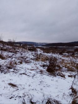 250x334  27 KB. Big one: 1048x1400  218 KB