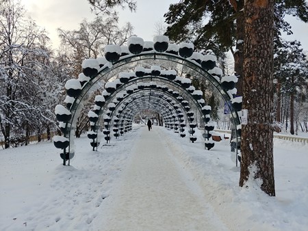 450x338  71 KB. Big one: 4656x3492  7014 KB