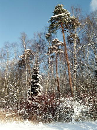 330x440  57 KB. Big one: 3120x4160  8511 KB