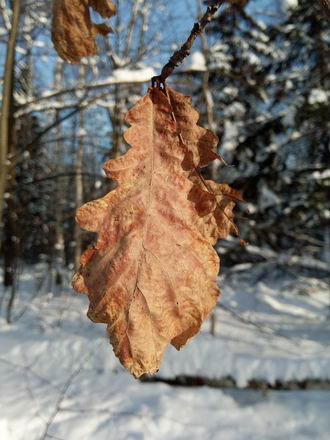 330x440  44 KB. Big one: 3120x4160  4735 KB