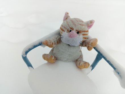 440x330  21 KB. Big one: 4160x3120  2682 KB