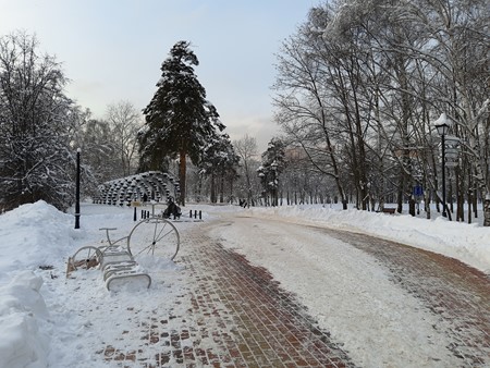 450x338  65 KB. Big one: 4608x3456  13515 KB