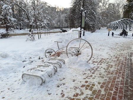 450x338  70 KB. Big one: 4608x3456  12910 KB