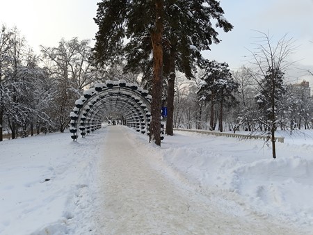 450x338  55 KB. Big one: 4608x3456  11763 KB