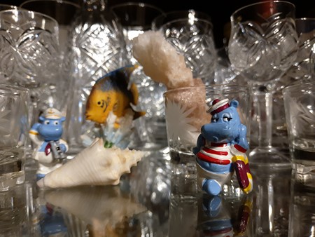 450x338  52 KB. Big one: 4608x3456  10366 KB