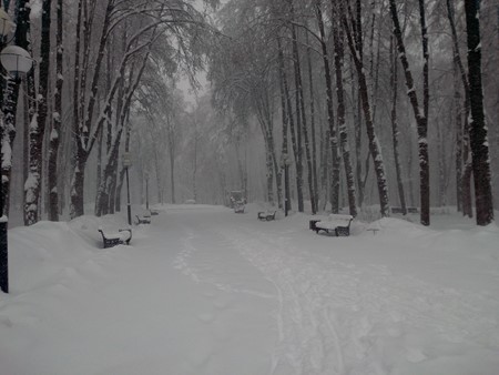 450x338  59 KB. Big one: 4160x3120  4937 KB