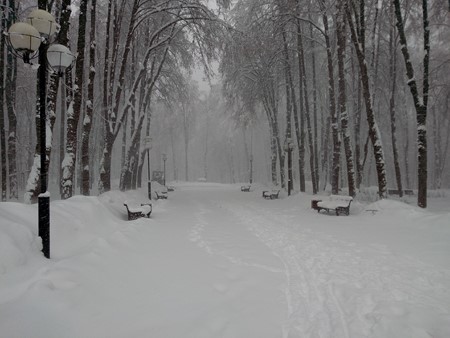 450x338  63 KB. Big one: 4160x3120  4885 KB