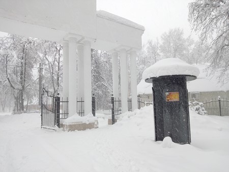 450x338  56 KB. Big one: 4160x3120  4027 KB