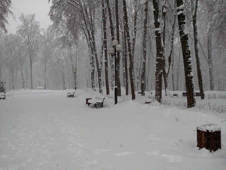 450x338  67 KB. Big one: 4160x3120  4899 KB