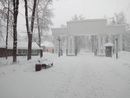 450x338  56 KB. Big one: 4160x3120  4129 KB