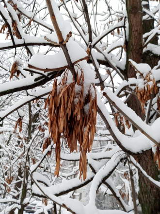 330x440  58 KB. Big one: 3456x4608  4971 KB