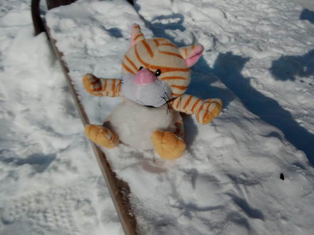 440x330  38 KB. Big one: 3264x2448  2315 KB